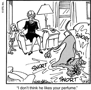 marmaduke
